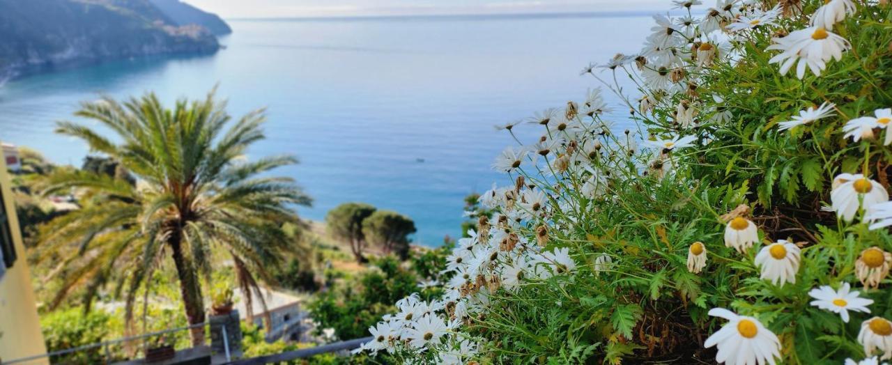 New Hanging Garden كورنيجليا المظهر الخارجي الصورة