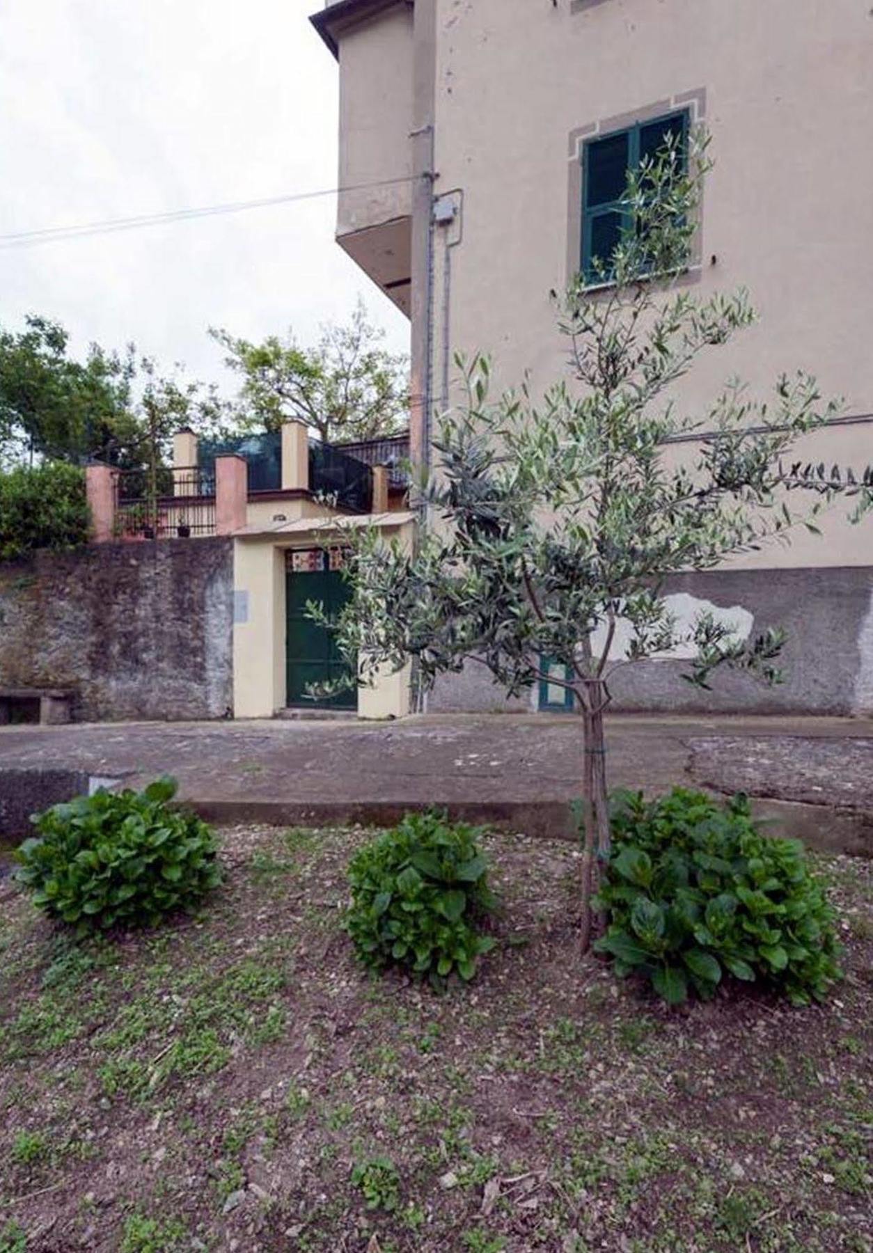 New Hanging Garden كورنيجليا المظهر الخارجي الصورة